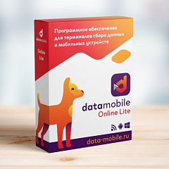 ПО DataMobile, версия Online Lite во Владимире